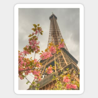 Springtime Eiffel Sticker